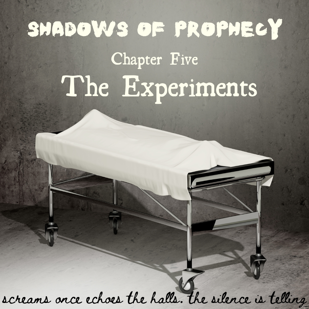 5. The Experiments